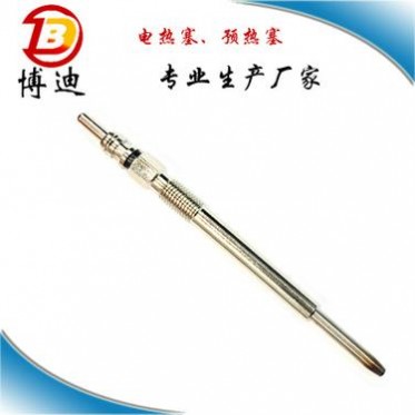 厂家 高品质 柴油车 电热塞 预热塞0250203002