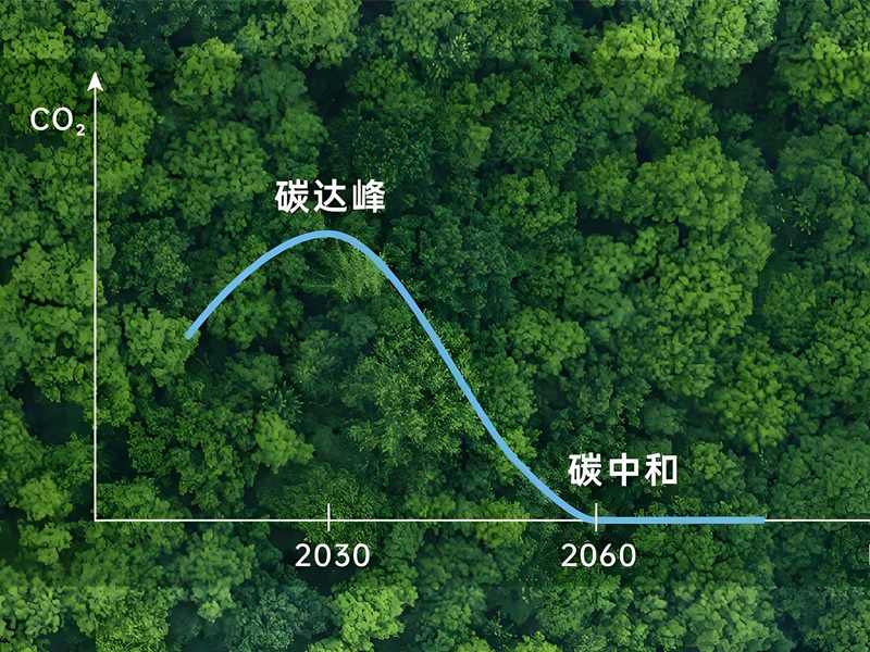 1732329349652484.jpg 1.jpg