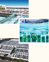 打造“中马建交50周年”经贸合作的铝加工范本!齐力澳美做对了什么?(图11) image.png