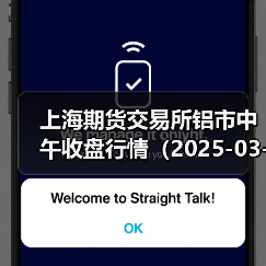 上海期货交易所铝市中午收盘行情（2025-03-03 11:33）（图3）