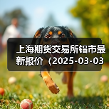 上海期货交易所铝市最新报价（2025-03-03 10:15）（图4）