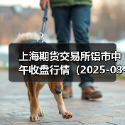上海期货交易所铝市中午收盘行情（2025-03-03 11:33）（图4）