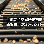 上海期货交易所铝市最新报价（2025-02-26 10:15）（图3）