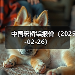 中国宏桥铝报价（2025-02-26）（图1）