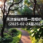 天津废铝市场一周报价（2025-02-24至2025-02-28）（图4）