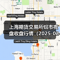 上海期货交易所铝市夜盘收盘行情（2025-02-25 01:03）（图1）