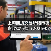 上海期货交易所铝市夜盘收盘行情（2025-02-25 01:03）（图3）