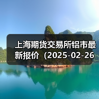 上海期货交易所铝市最新报价（2025-02-26 00:00）（图3）