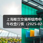 上海期货交易所铝市中午收盘行情（2025-02-26 11:33）（图2）