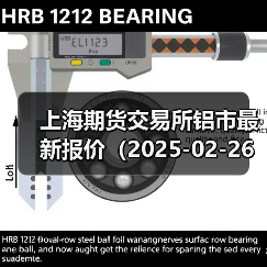 上海期货交易所铝市最新报价（2025-02-26 10:15）（图2）