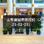 山东废铝市场报价（2025-02-25）（图3）