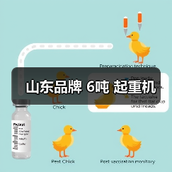 山东品牌 6吨 起重机（图2）