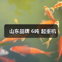 山东品牌 6吨 起重机（图4）