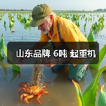 山东品牌 6吨 起重机（图1）