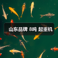 山东品牌 8吨 起重机(图3) 山东品牌 8吨 起重机(图3)
