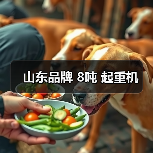 山东品牌 8吨 起重机(图4) 山东品牌 8吨 起重机(图4)