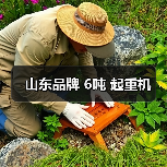 山东品牌 6吨 起重机（图3）
