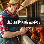 山东品牌 8吨 起重机(图2) 山东品牌 8吨 起重机(图2)