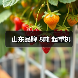山东品牌 8吨 起重机(图1) 山东品牌 8吨 起重机(图1)