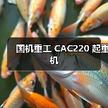 国机重工 CAC220 起重机（图4）