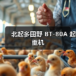 北起多田野 BT-80A 起重机（图2）