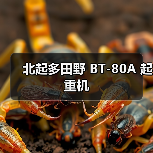 北起多田野 BT-80A 起重机（图3）