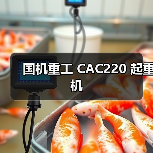 国机重工 CAC220 起重机(图1) 国机重工 CAC220 起重机(图1)