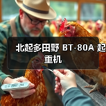 北起多田野 BT-80A 起重机（图4）