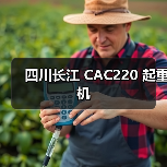 四川长江 CAC220 起重机(图1) 四川长江 CAC220 起重机(图1)