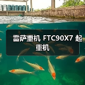 雷萨重机 FTC90X7 起重机（图3）