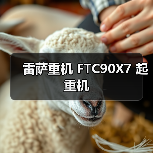 雷萨重机 FTC90X7 起重机（图2）