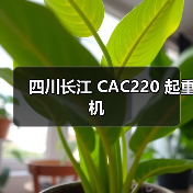 四川长江 CAC220 起重机(图3) 四川长江 CAC220 起重机(图3)