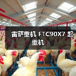 雷萨重机 FTC90X7 起重机（图1）
