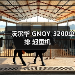 沃尔华 GNQY-3200单排 起重机(图1) 沃尔华 GNQY-3200单排 起重机(图1)