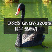 沃尔华 GNQY-3200型排半 起重机（图4）