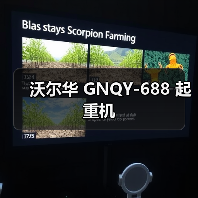 沃尔华 GNQY-688 起重机（图4）