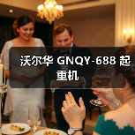 沃尔华 GNQY-688 起重机（图3）