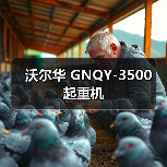 沃尔华 GNQY-3500 起重机(图3) 沃尔华 GNQY-3500 起重机(图3)