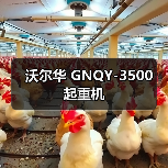 沃尔华 GNQY-3500 起重机(图4) 沃尔华 GNQY-3500 起重机(图4)