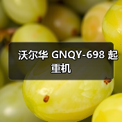 沃尔华 GNQY-698 起重机（图4）