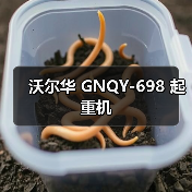 沃尔华 GNQY-698 起重机（图3）