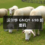 沃尔华 GNQY-698 起重机（图2）