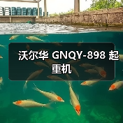 沃尔华 GNQY-898 起重机(图1) 沃尔华 GNQY-898 起重机(图1)