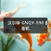沃尔华 GNQY-898 起重机(图4) 沃尔华 GNQY-898 起重机(图4)