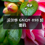 沃尔华 GNQY-898 起重机(图2) 沃尔华 GNQY-898 起重机(图2)