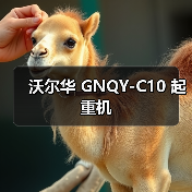 沃尔华 GNQY-C10 起重机(图4) 沃尔华 GNQY-C10 起重机(图4)