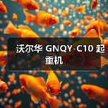 沃尔华 GNQY-C10 起重机(图2) 沃尔华 GNQY-C10 起重机(图2)