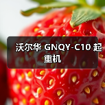 沃尔华 GNQY-C10 起重机(图3) 沃尔华 GNQY-C10 起重机(图3)