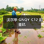 沃尔华 GNQY-C12 起重机（图2）