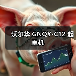 沃尔华 GNQY-C12 起重机（图3）